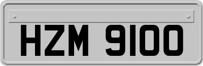 HZM9100