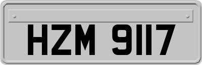 HZM9117