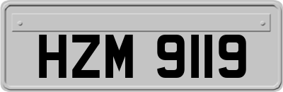 HZM9119