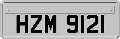 HZM9121