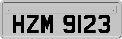 HZM9123