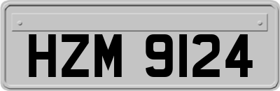 HZM9124