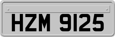 HZM9125