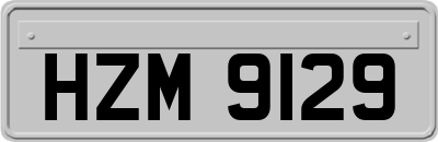 HZM9129