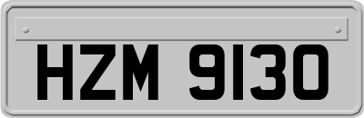 HZM9130
