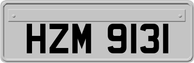 HZM9131