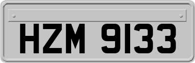 HZM9133