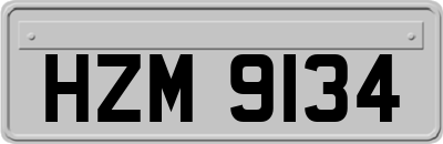 HZM9134