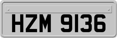HZM9136