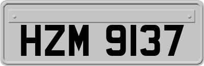 HZM9137