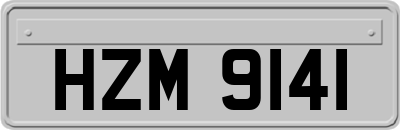 HZM9141