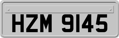 HZM9145
