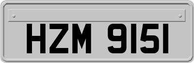 HZM9151