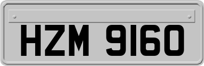 HZM9160