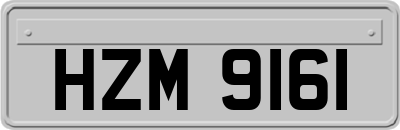 HZM9161