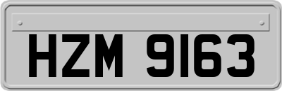 HZM9163