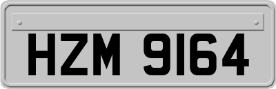 HZM9164