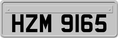 HZM9165