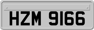 HZM9166