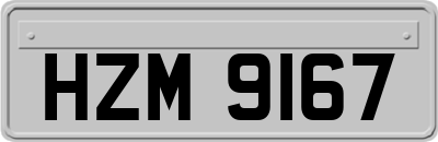 HZM9167