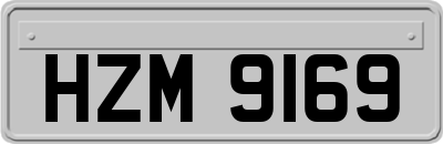 HZM9169