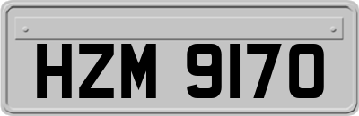 HZM9170