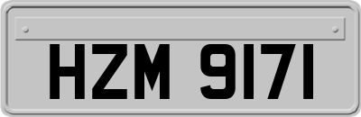 HZM9171