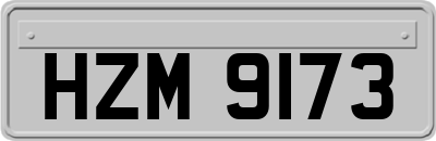 HZM9173