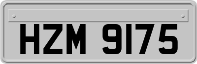 HZM9175