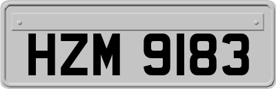 HZM9183