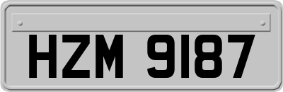 HZM9187