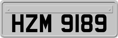 HZM9189