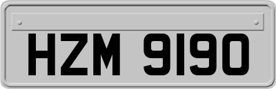 HZM9190