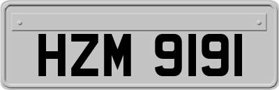 HZM9191