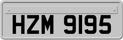 HZM9195