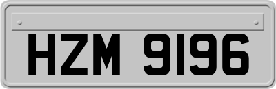 HZM9196