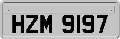 HZM9197