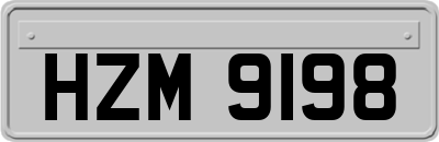 HZM9198