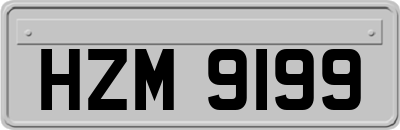 HZM9199