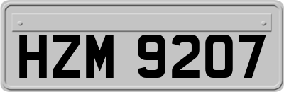 HZM9207