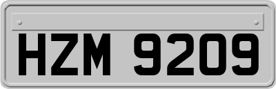 HZM9209