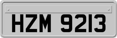 HZM9213