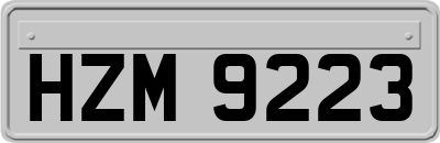 HZM9223