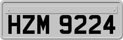 HZM9224