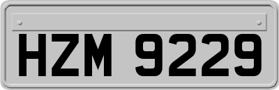 HZM9229