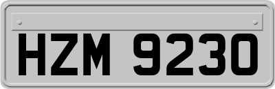 HZM9230
