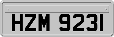 HZM9231