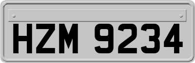 HZM9234