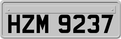 HZM9237