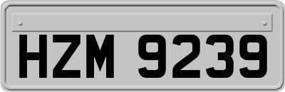 HZM9239